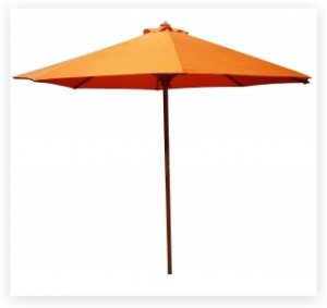 Umbrella1-300x283